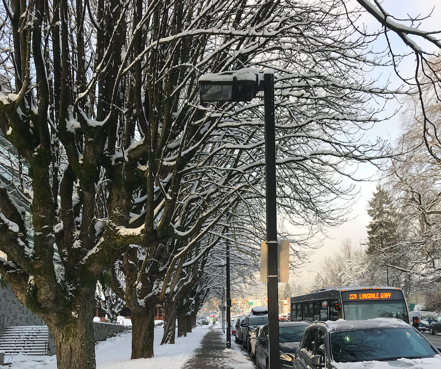 Central Lonsdale North Vancouver Snowing Outside January 2020