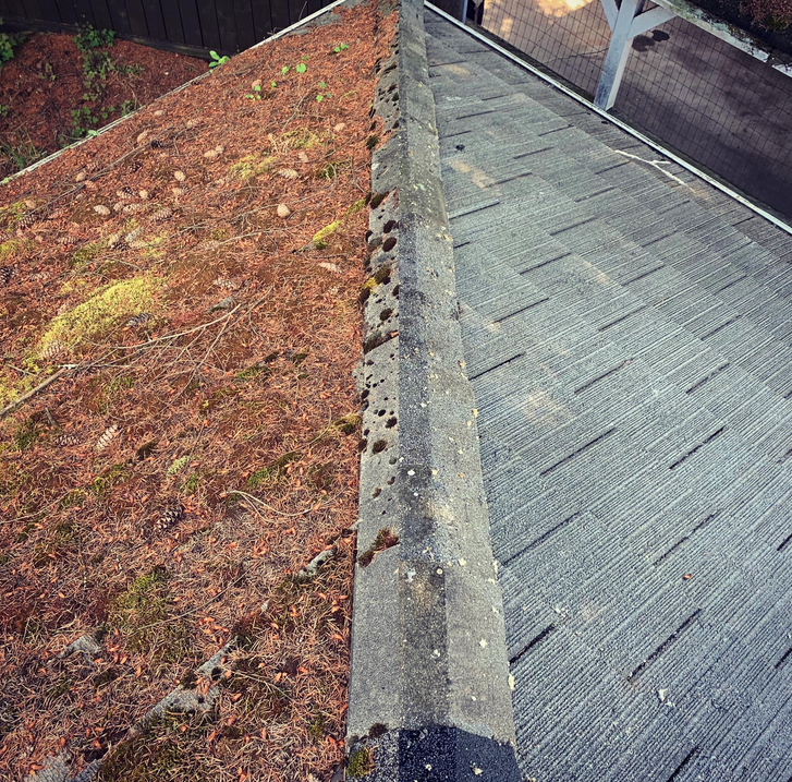 Coastal Roof Cleaning Experts Pressure Washing Moss Removal North Vancouver British Columbia Canada 3
