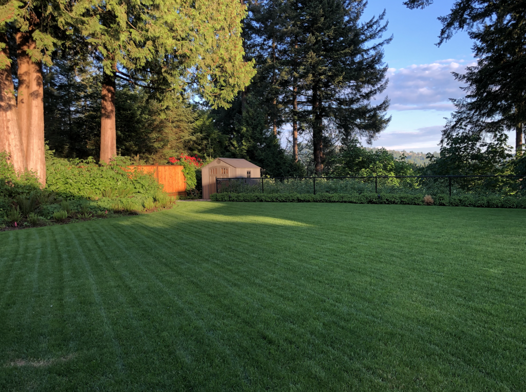 Spring Landscaping Custom Yard Design Maintenance Vancouvers North Shore with Good To Go Contracting serving West Vancouver and North Vancouver 32184