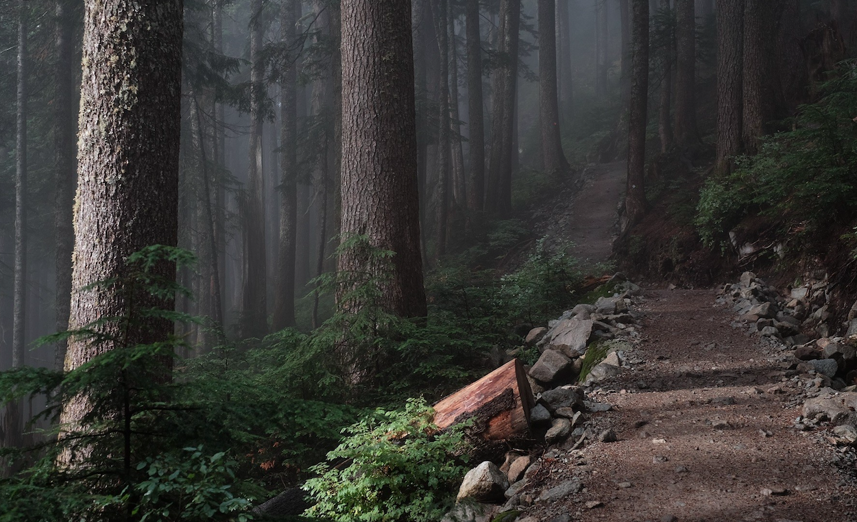 Hiking & Walking Trails North Shore Vancouver British Columbia Canada