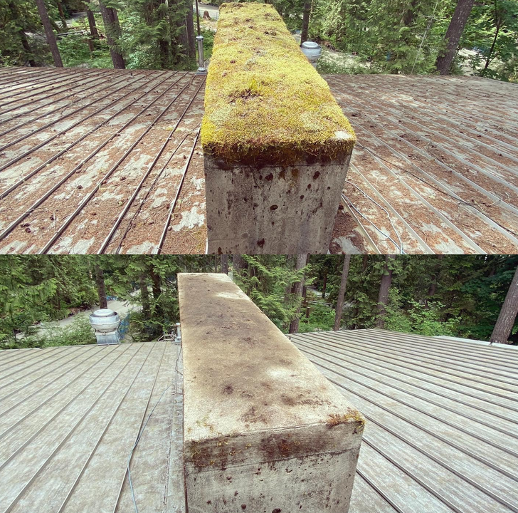 Coastal Roof Cleaning Experts Pressure Washing Moss Removal North Vancouver British Columbia Canada 2