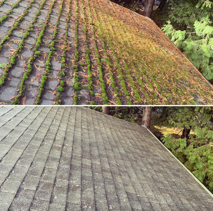 Coastal Roof Cleaning Experts Pressure Washing Moss Removal North Vancouver British Columbia Canada 4