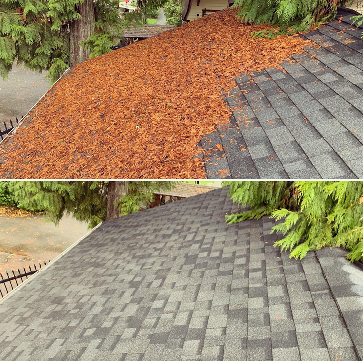 Coastal Roof Cleaning Experts Pressure Washing Moss Removal North Vancouver British Columbia Canada 5