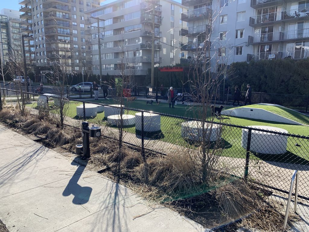 off leash fenced in dog park near by central lonsdale avenue in the city of north vancouver british columbia canada