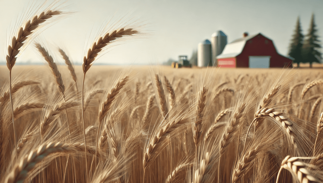 Grain Marketing Importing Exporting Canada Benefits of B2B2C Business Model