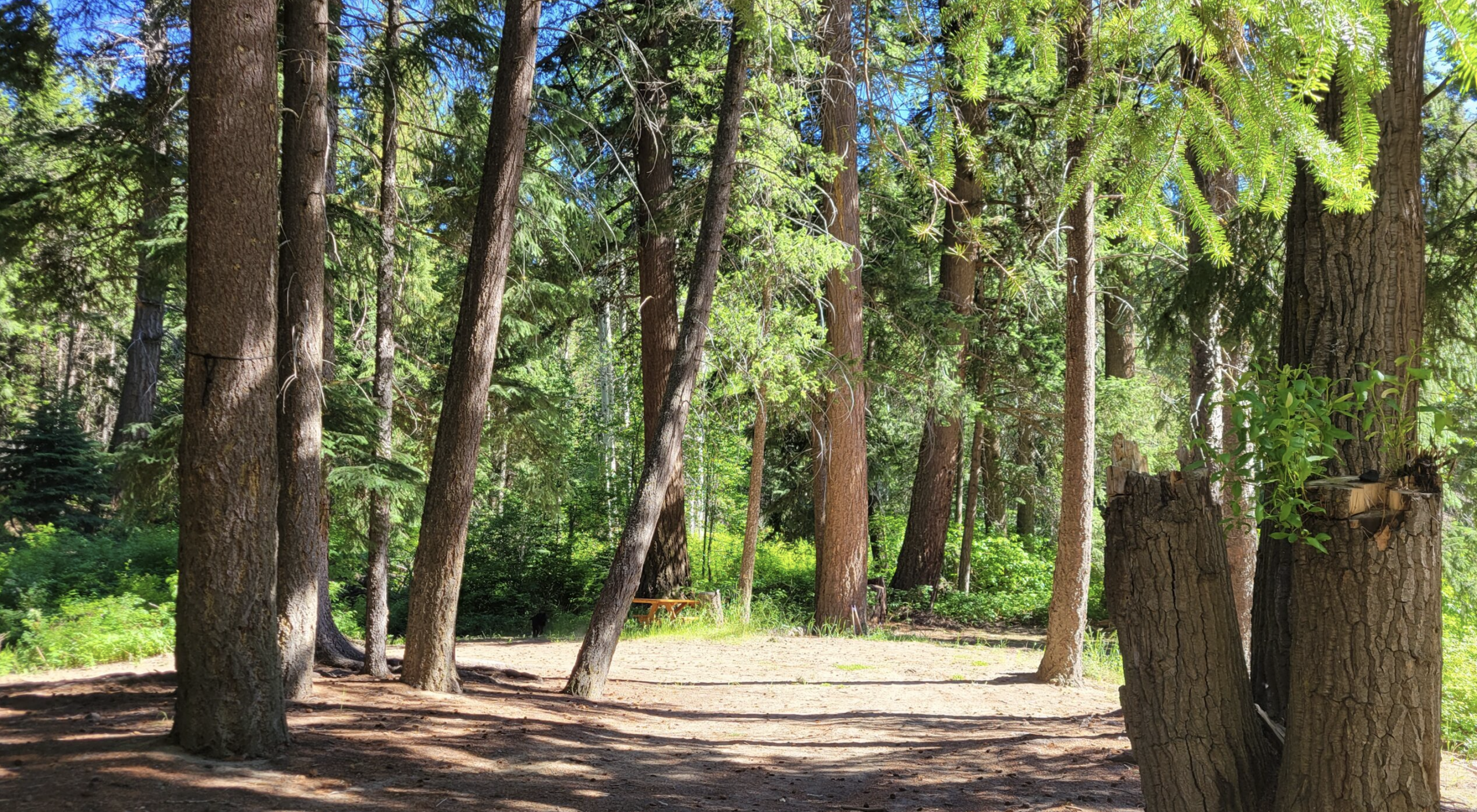 private camping cabin rental event space venue photoshoot filming location near vancouver lower mainland fraser valley okanagan similkameen falls campground in eastgate bc 3